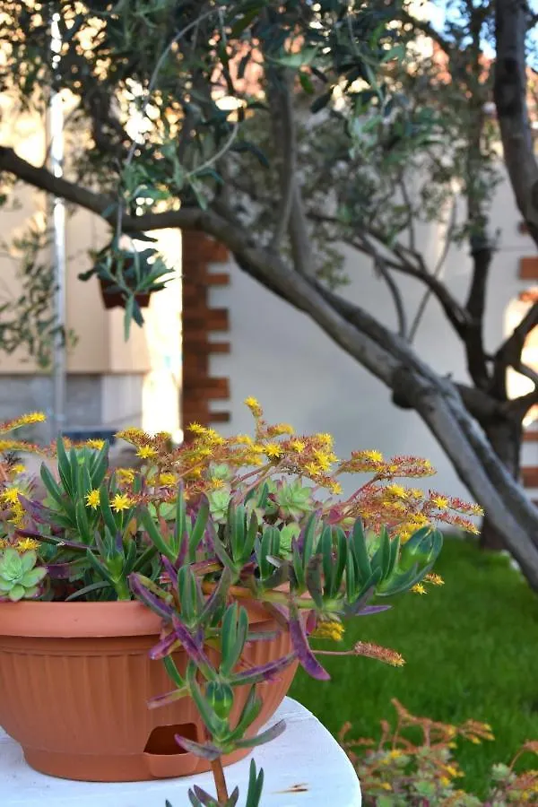 Greenvine Apartment Zadar