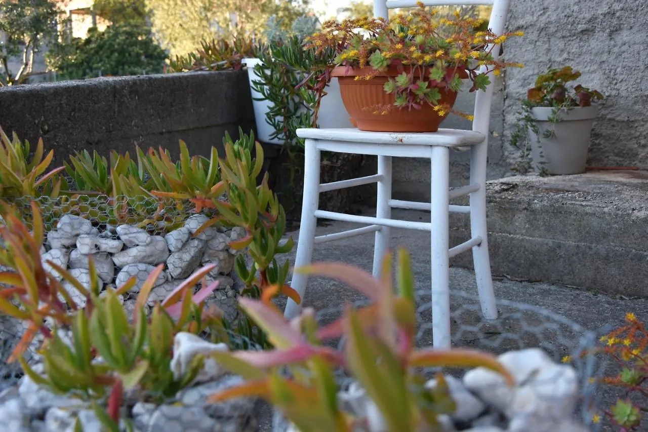 Greenvine Apartment Zadar 0*,